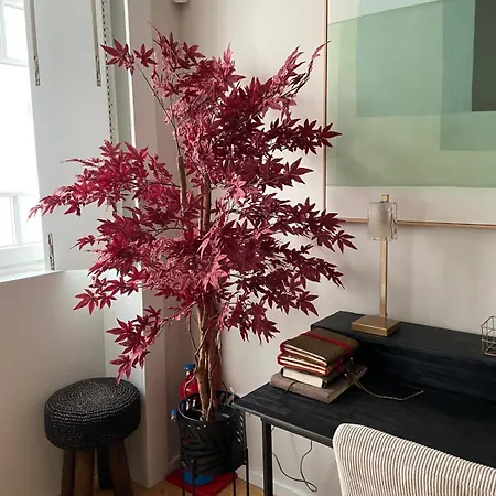 Charminn Estação Appartement Aveiro